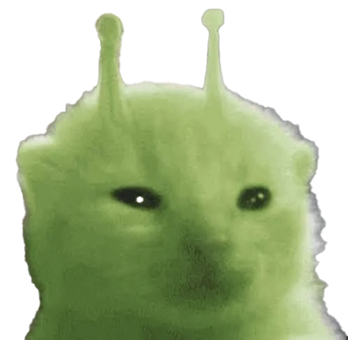 this is the image of the glorp cat